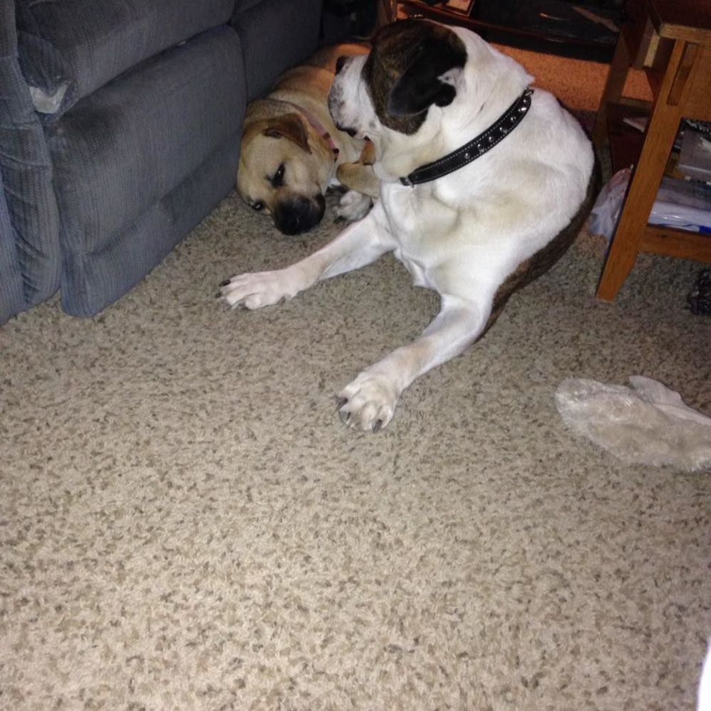 Meet your Posher, Matthew